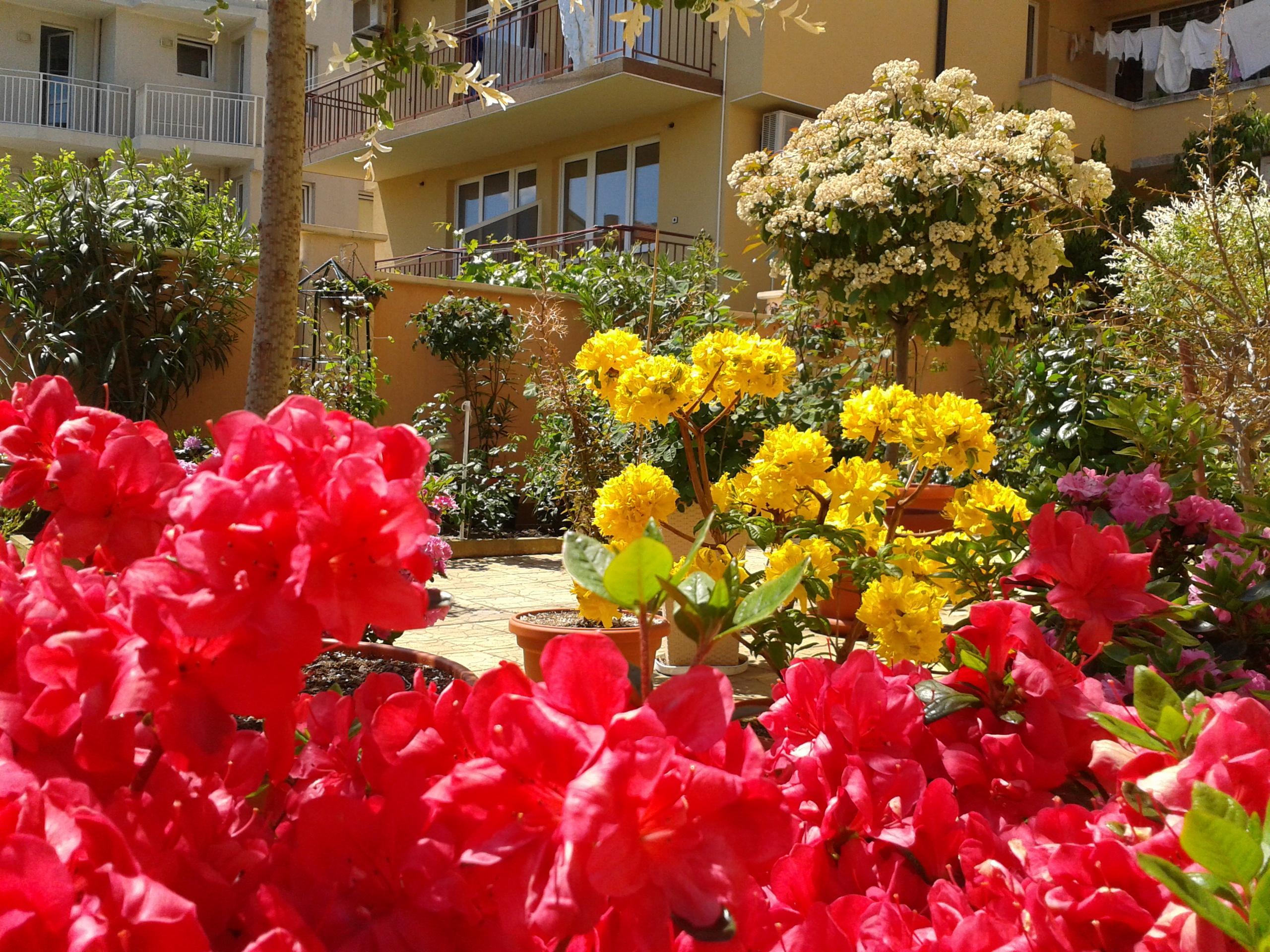 Hotel Chuchulev Sozopol Exterior foto